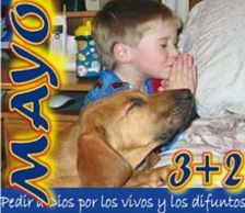 MAYO 3+2  2016