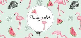 STICKY NOTES BOX FLAMENCOS