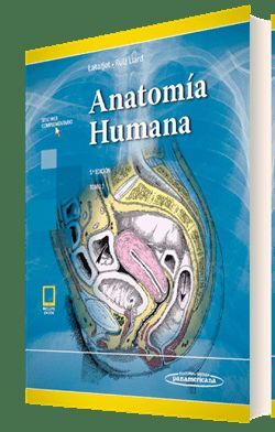 ANATOMIA HUMANA TOMO 2º - 5º ED 2019