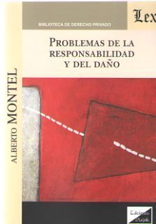PROBLEMAS DE LA RESPONSABILIDAD Y DEL DAÑO