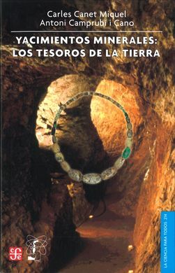 YACIMIENTOS MINERALES: LOS TESOROS DE LA TIERRA
