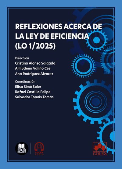 IBD REFLEXIONES ACERCA DE LA LEY DE EFICIENCIA (LO 1/2025)