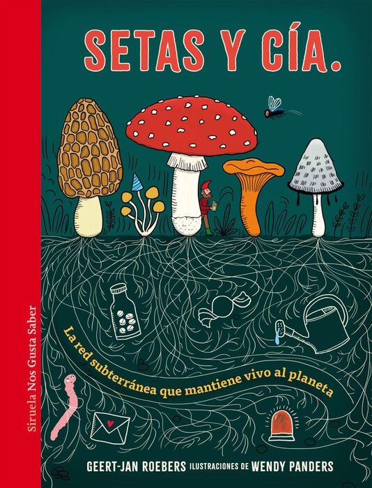 SETAS Y CÍA.