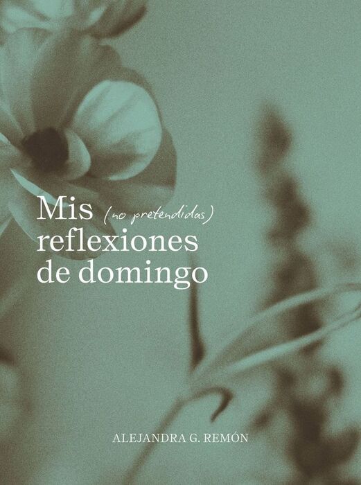 MIS (NO PRETENDIDAS) REFLEXIONES DE DOMINGO