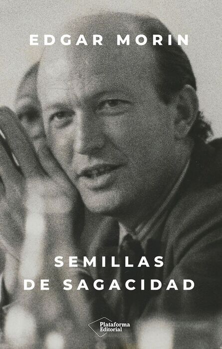 SEMILLAS DE SAGACIDAD