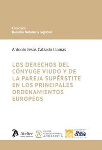 LOS DERECHOS DEL CONYUGE VIUDO Y DE LA PAREJA SUPERSTITE EN