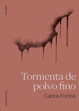 TORMENTA DE POLVO FINO