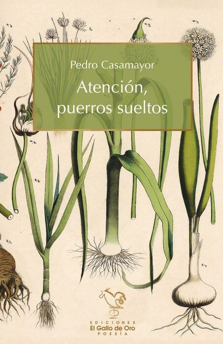 ATENCIN, PUERROS SUELTOS