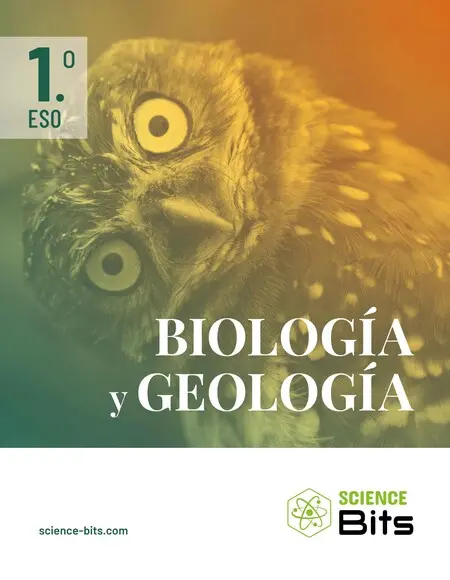 Biologia y Geologia 1 eso Castellano Nd (No Digital, Solo Papel)